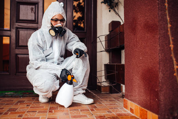 Reliable Wasp Removal contractor in Green Level, NC by Show Me Pest Control